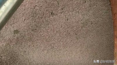 ​清洗纱窗我有妙招，不用一滴水不拆卸，一喷一抹纱窗闪亮干净如新