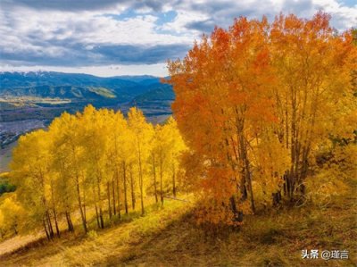 ​人这一生，皆在“折腾”