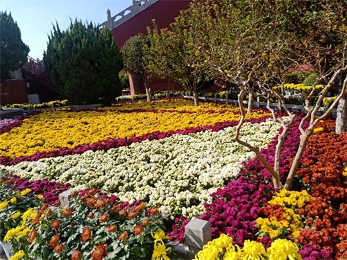 龙亭公园占地面积1038亩，其中水域面积710亩的龙亭景区