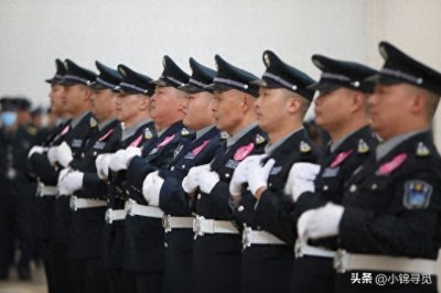 ​原来森林警察是干这些活