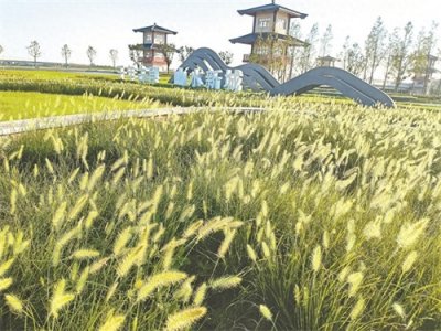 ​黄梅城区滨河大道沿线风景秀丽待客来