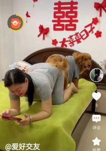 ​流氓图片展示