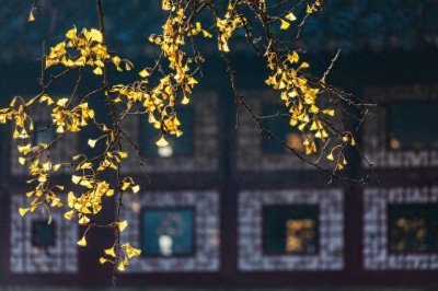 ​七夕节的现代意义与传承