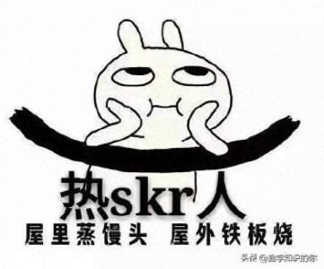 ​什么是skr？