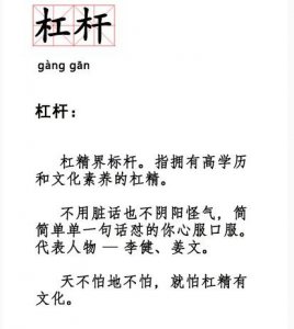 ​网络用语杠杆是什么梗什么意思？和杠精有什么区别