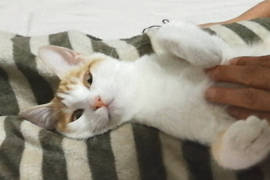 九妹大王表情包大派送!看看你喜欢哪一款?