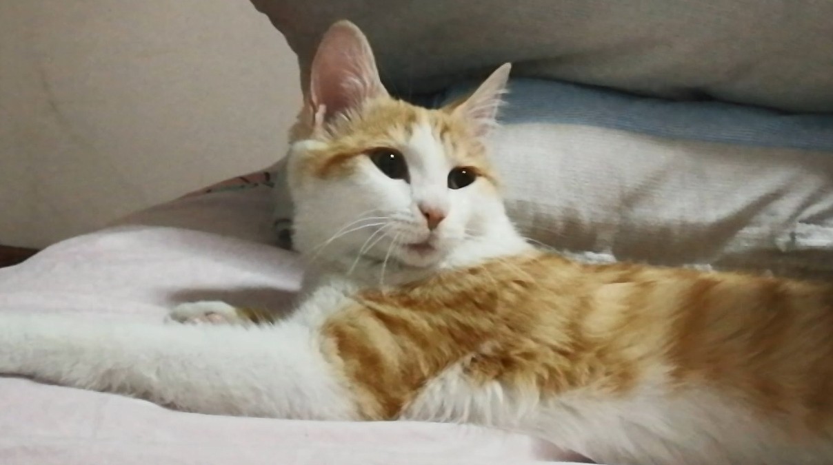 九妹大王表情包大派送!看看你喜欢哪一款?