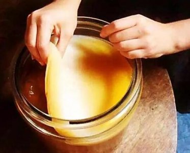 ​什么是醋蛾子