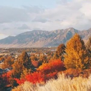 ​生活是什么？