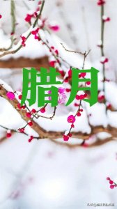 腊月十六是什么日子？出现风雪雷雾有什么说法？过去的谚语有预兆