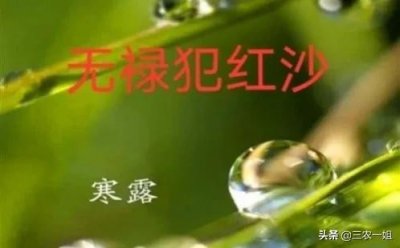 ​今天寒露，即“无禄”犯“红沙”日，是啥意思？今年寒露不好吗？