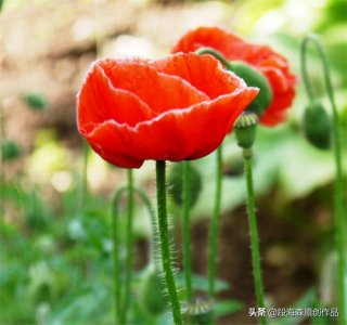 什么是良知（原创首发）