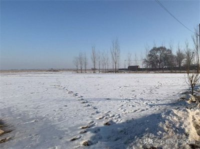 ​重温：毛选第一卷《湖南农民运动考察报告》