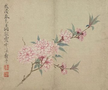 ​古画赏花 | 清·恽寿平 花卉图册六幅