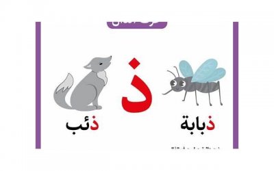 ​怎样才能挽回白羊座 如何挽回白羊座的好感