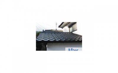 ​人是没有无缘无故的爱与恨(人生没有无缘无故的爱与恨)