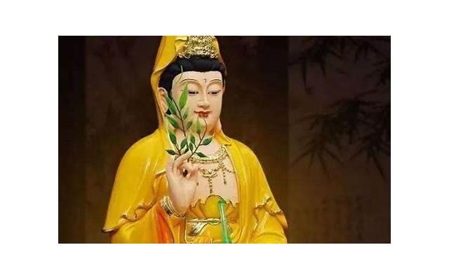 葡萄柚是什么呢(葡萄柚苦的是什么原因) 葡萄柚是什么呢(葡萄柚苦的是什么原因)