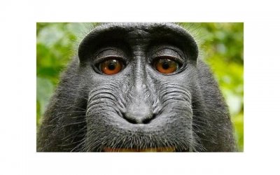 ​朴信惠主演的韩剧（朴信惠十部超好看的剧）