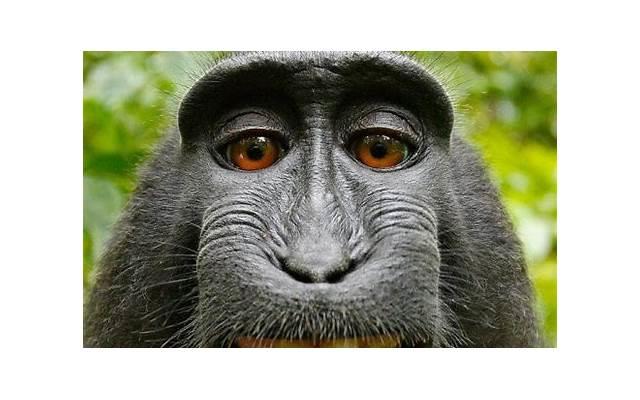 朴信惠主演的韩剧(朴信惠十部超好看的剧) 朴信惠主演的韩剧(朴信惠十部超好看的剧)