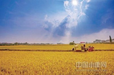 ​宁乡：积极探索乡村振兴新路径