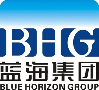 ​蓝海集团之殇：辉煌与陨落的惊心动魄之旅
