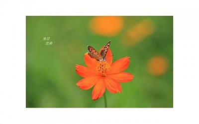 ​烧脑电影《记忆碎片》，隐藏了哪些心理学知识？