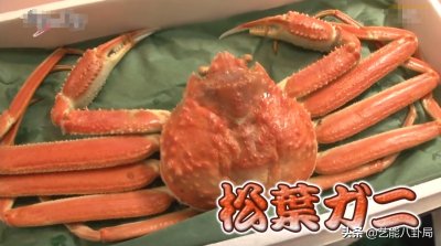 ​16万一只的松叶蟹为啥这么贵？怎么做才好吃？