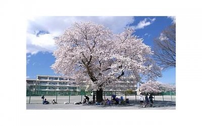 ​“倒插门的我，毫无尊严”