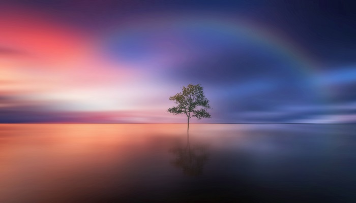 斯人若彩虹遇上方知有是什么意思 斯人若彩虹遇上方知有的意思