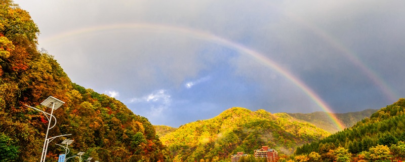 斯人若彩虹遇上方知有是什么意思 斯人若彩虹遇上方知有的意思