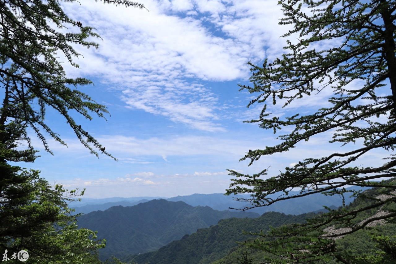高山流水遇知音的典故