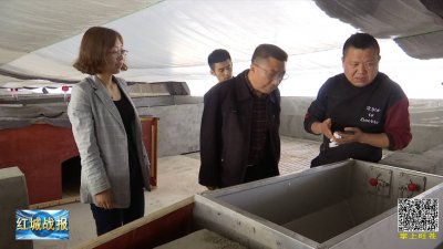 ​农村挣钱门路现实点的，我是农村人打工族，不想打工了手里只有一两千块钱，