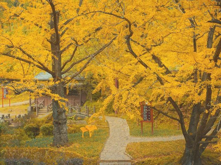 六盘水旅游景区有哪些(贵州六盘水旅游十大景点排名)