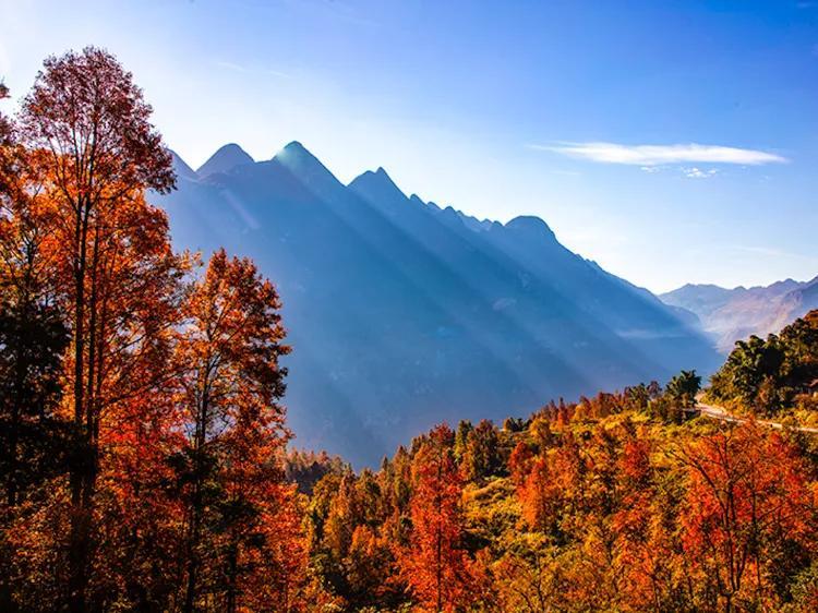 六盘水旅游景区有哪些(贵州六盘水旅游十大景点排名)
