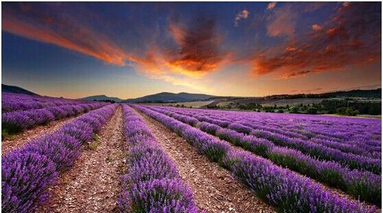 普罗旺斯在哪个国家的市区