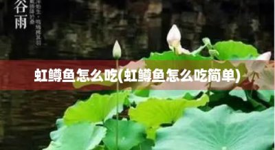 ​虹鳟鱼怎么吃(虹鳟鱼怎么吃简单)