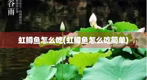 虹鳟鱼怎么吃(虹鳟鱼怎么吃简单)