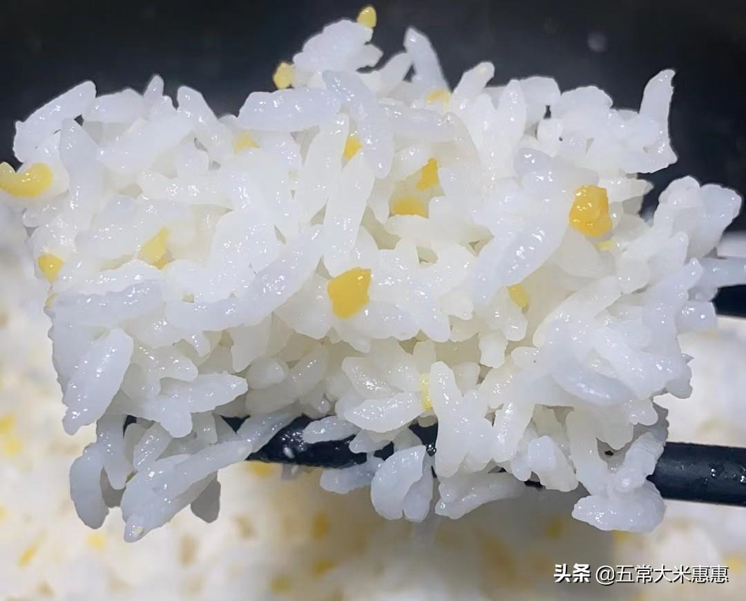 正宗五常大米产地是哪里（全国五常大米产地哪里）(图6)