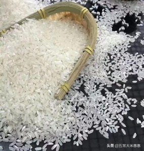 ​正宗五常大米产地是哪里（全国五常大米产地哪里）