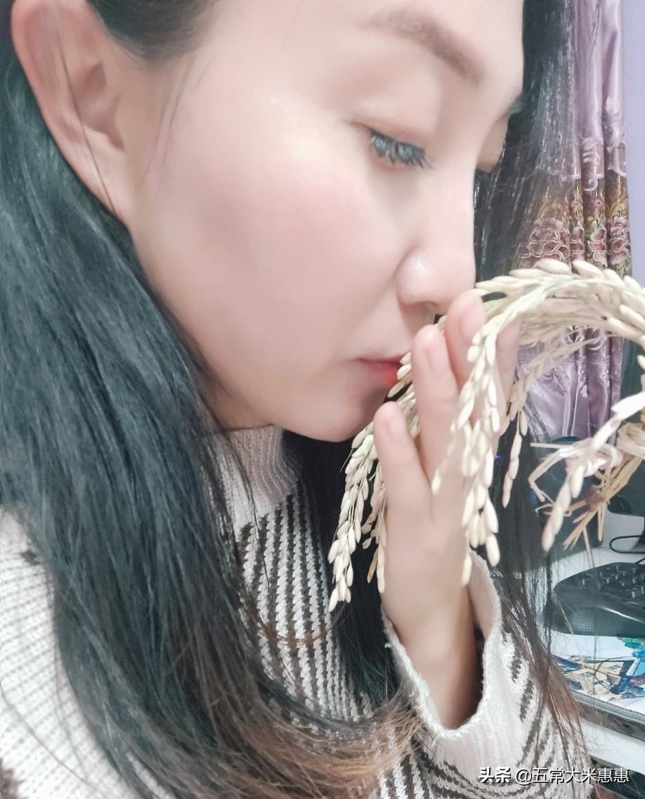 正宗五常大米产地是哪里（全国五常大米产地哪里）(图4)