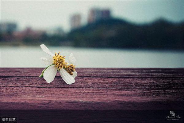 放不下一个人很痛苦怎么办(感情放不下怎么办)