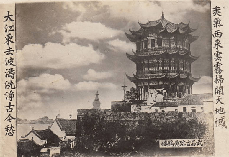 黄鹤楼是什么动物(黄鹤楼中的黄鹤是什么鸟)