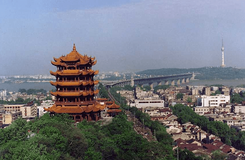 黄鹤楼是什么动物(黄鹤楼中的黄鹤是什么鸟)