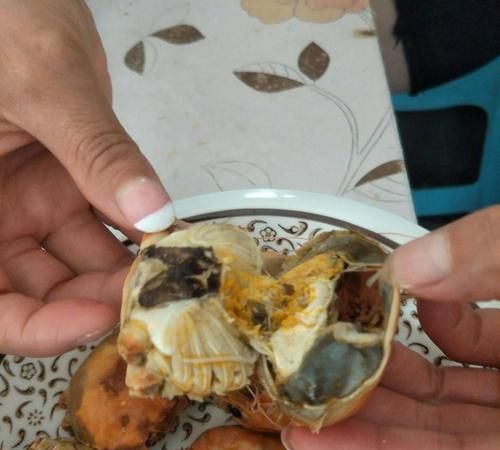 螃蟹黄到底是螃蟹的什么东西呢