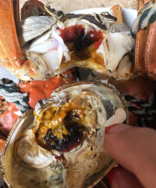 螃蟹流黄水是什么原因了吗