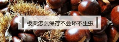 ​如何分辨板栗是否变质，为什么网购的板栗是黑色的？