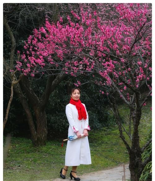 有没有一句诗，诗意与“待到山花烂漫时，她在丛中笑”意思相近