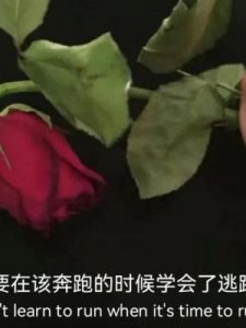 ​17是什么意思
