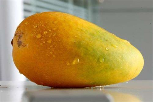 山竹是什么季节的水果（水果蔬菜自然成熟的时间表）