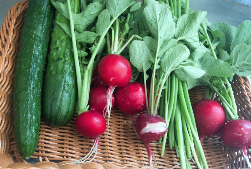 山竹是什么季节的水果（水果蔬菜自然成熟的时间表）